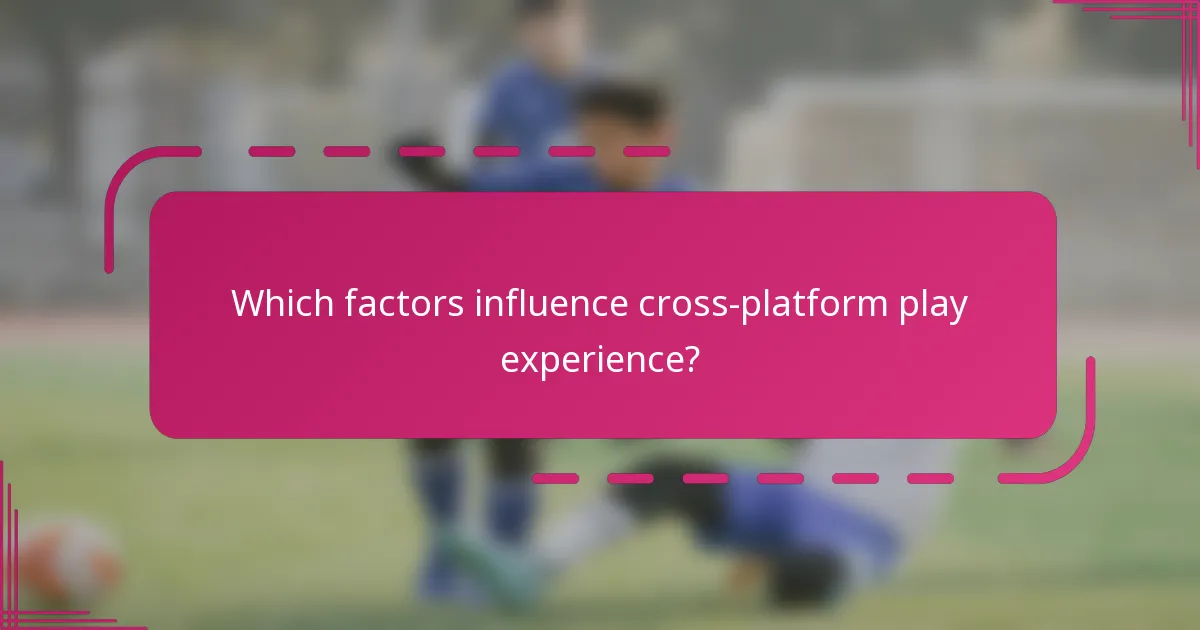 Which factors influence cross-platform play experience?